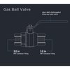 Everflow SWT Gas Ball Valve, Brass 3" 300C003